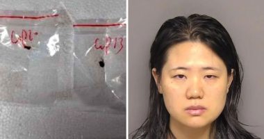 Chinese nationals charged with smuggling 'dangerous biological pathogen' into US