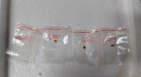 Chinese scientist faces hearing after pathogen seized by FBI