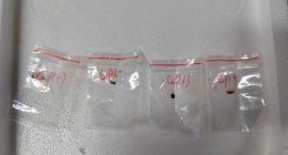 Chinese scientist faces hearing after pathogen seized by FBI
