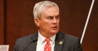 Comer launches probe into LA protests