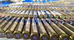 DACA Recipient Sent to U.S. Prison for Buying Guns for Mexican Cartels