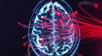 Disease that can cause dementia is spreading across England