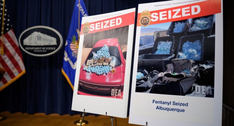 Drop in fentanyl seizures at border suggests enforcement working