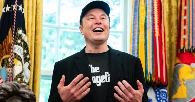Elon Musk hammers large-scale government spending