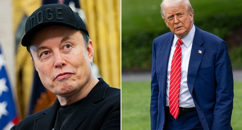 Elon Musk issues stern message to every American as he goes to war with Trump over 'insane' spending bill