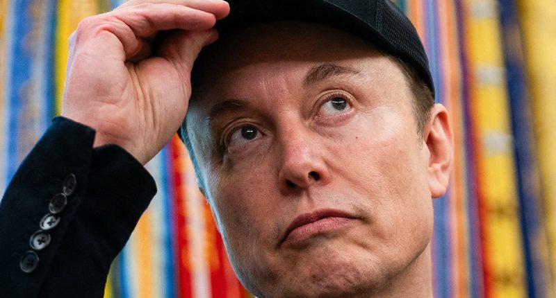 Elon Musk pushes wild Trump 'body double' conspiracy theory as their bromance implodes