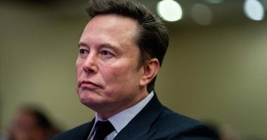 Elon Musk savages White House 'snake' behind sinister move that led to First Buddy's fall out with Trump