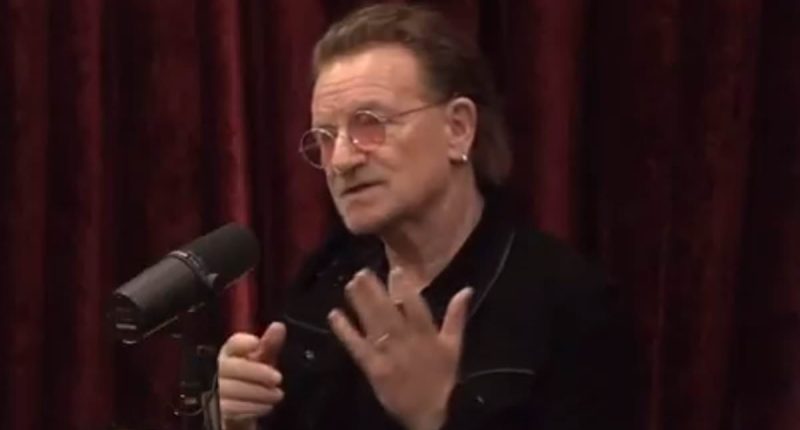 Elon Musk savages 'idiot' Bono over 'lies' about DOGE on Joe Rogan