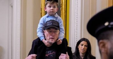 Elon Musk slaps down salacious claims by his own AI Grok about Trump aide Stephen Miller's wife