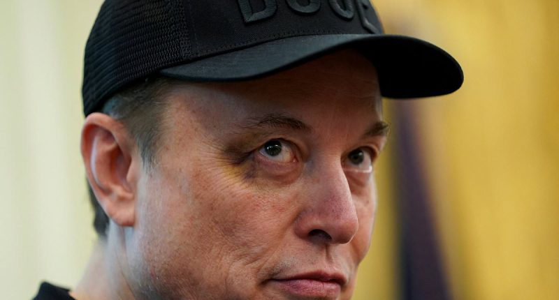 Elon Musk sports BLACK EYE at final White House briefing with Trump amid drug use bombshell