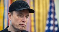 Elon Musk's prized possession faces shutdown that could reshape America