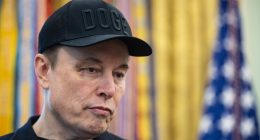 Elon Musk's prized possession faces shutdown that could reshape America