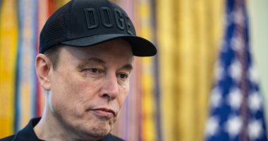 Elon Musk's prized possession faces shutdown that could reshape America