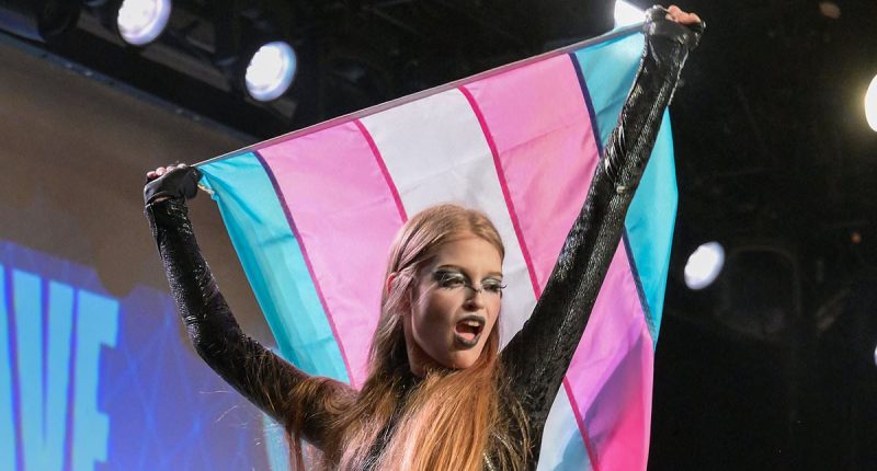 Elon Musk's transgender daughter Vivian Jenna Wilson dances with Trans Pride flag at drag show raising cash for immigrants' legal bills