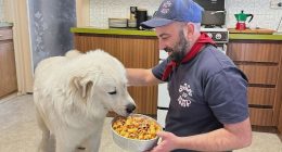 Family reunited with allegedly stolen dog