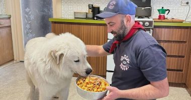 Family reunited with allegedly stolen dog