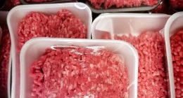 Flesh-eating screwworms can boost high beef prices: Texas A&M Expert