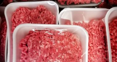 Flesh-eating screwworms can boost high beef prices: Texas A&M Expert