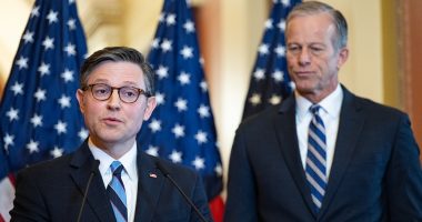 GOP braces for first 'test run' on codifying DOGE cuts