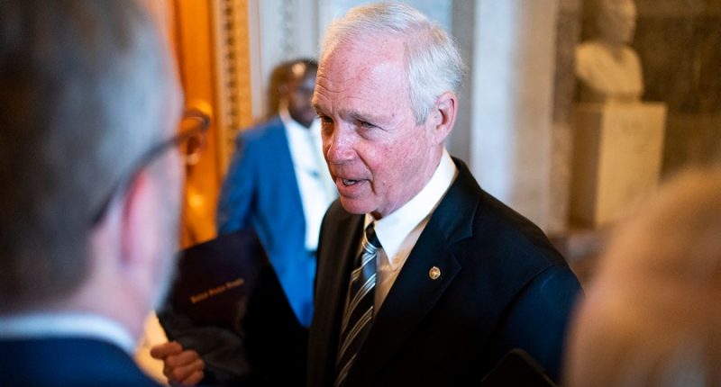 GOP senator: Trump’s big, beautiful bill won’t meet July 4 deadline