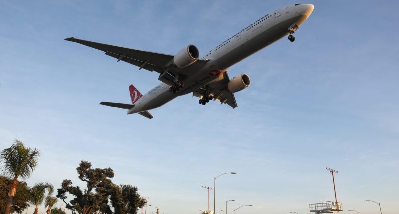 Global economy faces headwinds, but aviation is expected to defy them
