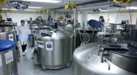 Harvard will destroy 1.5million samples that could hold the key to stopping colon cancer epidemic