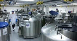 Harvard will destroy 1.5million samples that could hold the key to stopping colon cancer epidemic