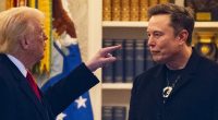 How Donald Trump's falling out with Elon Musk could lead to an economic bloodbath for Australia
