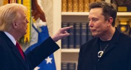 How Donald Trump's falling out with Elon Musk could lead to an economic bloodbath for Australia
