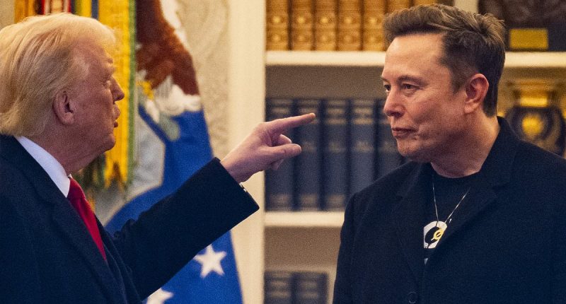 How Donald Trump's falling out with Elon Musk could lead to an economic bloodbath for Australia