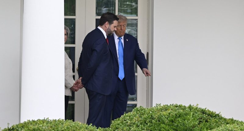 How JD Vance is embracing a new 'peacekeeper' role between Trump, Musk and other top advisors