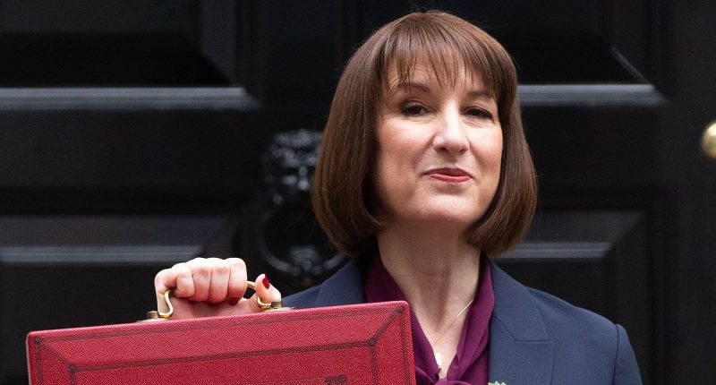 I fear Labour is set to slap tough new rules on where you invest your Isa, says RACHEL RICKARD STRAUS