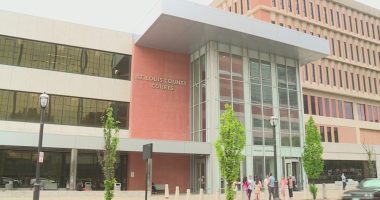 ICE detained child molestation suspect out on bond