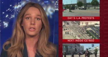 ICE raids won't stop despite protests: DHS spokesperson