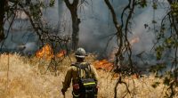 Idaho Sheriff: Canfield Mountain Fire 'Was Intentional,' 'It Was an Ambush'