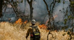 Idaho Sheriff: Canfield Mountain Fire 'Was Intentional,' 'It Was an Ambush'