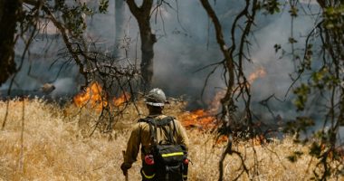 Idaho Sheriff: Canfield Mountain Fire 'Was Intentional,' 'It Was an Ambush'