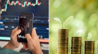 Income investors back cheap passive funds to save on fees - but are they missing out on returns?