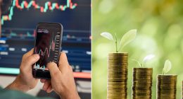 Income investors back cheap passive funds to save on fees - but are they missing out on returns?