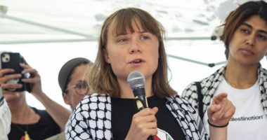 Israel Detains Greta Thunberg's 'Selfie Yacht,' Hands Out Sandwiches: 'Show Is Over'