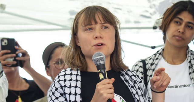 Israel Detains Greta Thunberg's 'Selfie Yacht,' Hands Out Sandwiches: 'Show Is Over'