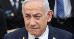 Israelis not counting on US help but would welcome it: Author