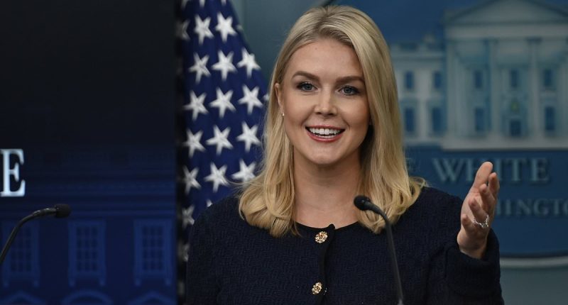Karoline Leavitt makes it clear where she stands amid Trump-Musk feud with very telling post