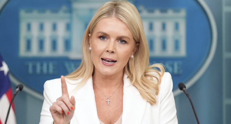 Karoline Leavitt shames CNN reporter as she details what REALLY happened with Iran's enriched uranium