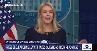 Karoline Leavitt weighs in on the Trump-Musk feud