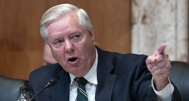 Lindsey Graham fires back at Tesla CEO Elon Musk in sharp exchange
