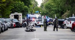 Lone wolf attacks 'very difficult to prevent': Ex-FBI analyst