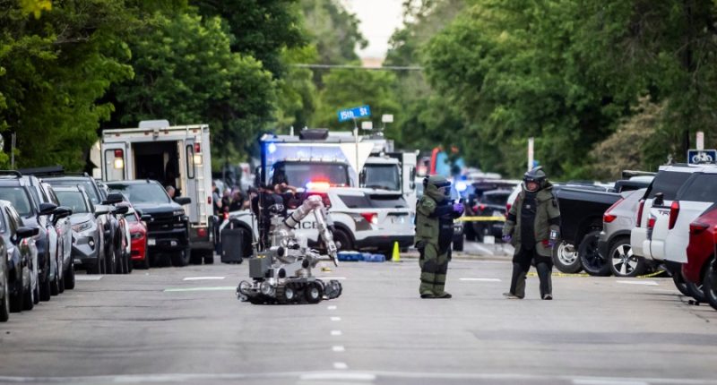 Lone wolf attacks 'very difficult to prevent': Ex-FBI analyst