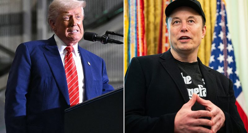 MAGA civil war erupts as Trump allies begin to side with Elon Musk over 'big beautiful bill'