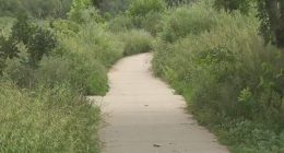 Man accused of threatening people with machete at a popular Denver park